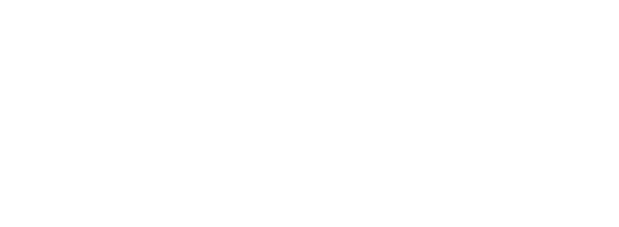 ernovlogo